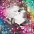 Nicole Scharff DiCarlo's profile image