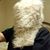 Eli Fragile Turtle Anderson's profile image