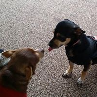 Brenda Deavers's profile image
