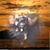 Kim Puckett's profile image