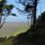 Julie Ann Olson's profile image