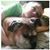 Susan Shramek Sackett's profile image