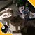 Betsy Boyd Stanley's profile image