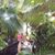 Jana Huolt's profile image