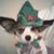 Melody Anderson's profile image