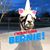 Ilene Karlsberg-Gerstein's profile image