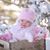 Nicole Kelley Munsch's profile image