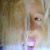 Phoebe White's profile image