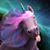 Julie Holly Loge's profile image