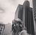 Erin Giesler's profile image