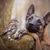 Taija Ventrella's profile image
