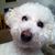 Cherie Johnson's profile image