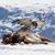 Misty Lynn ODonnell's profile image