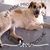 Lisa Marie Ellis's profile image