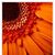 Nancy Carlson's profile image