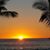 Lynda Gammon's profile image