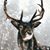 Dennis Tiffany Hutchinson's profile image
