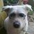 Mary Ellen Conway's profile image