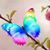 Chris Maxfield Palmer's profile image