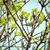 Angie Harwell's profile image