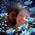 Gabrielle Shambo's profile image