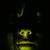 Larimer AmericanGuy's profile image