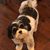 Anita Ruff's profile image