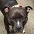 Teri Foster's profile image
