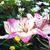 Carolyn Thomas Grayson's profile image