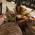 Donna Martin's profile image