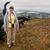 Michelle B Townsley's profile image