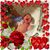 Noelia Gaytan Morales's profile image
