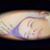 Amanda Stierwalt's profile image