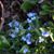 Sylvan Nancy Bupp's profile image