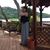 Mayra Perraut's profile image