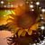 Tracy Fauver's profile image
