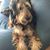 Patti Davis Sult's profile image