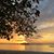 Bobbi Gossett's profile image