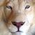 Peggy Huff's profile image