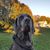 Cheryl Lynne French's profile image
