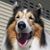 Kimberly Kampmann's profile image