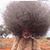 Ed Bayha's profile image