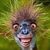 Donna Steiner's profile image