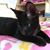 Mimi Pipino's profile image