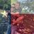 Masin Palmer's profile image