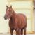 Linda Bradley's profile image