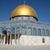 Masuod Shirani's profile image