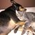 Rebecca Palafox's profile image
