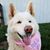 Bonnie Muzyka's profile image