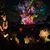Ariel Fragoso's profile image